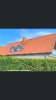Bilder